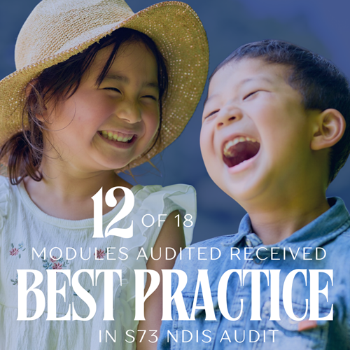NDIS Audit Best Practice